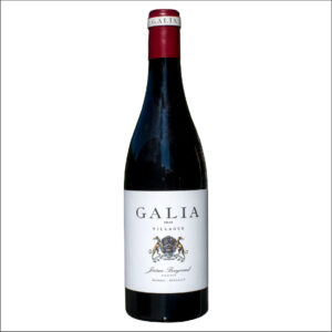 GALIA VILLAGES 2020